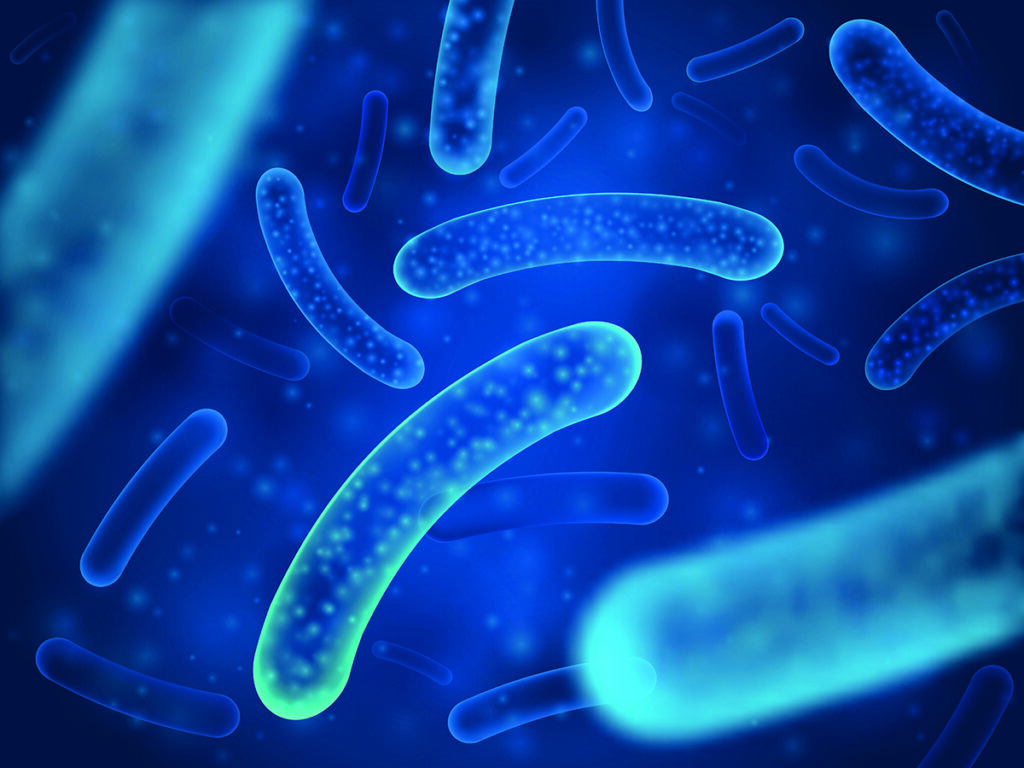 Test aktywacji monocytów (MAT) jako standard oceny pirogenności – co muszą wiedzieć firmy farmaceutyczne