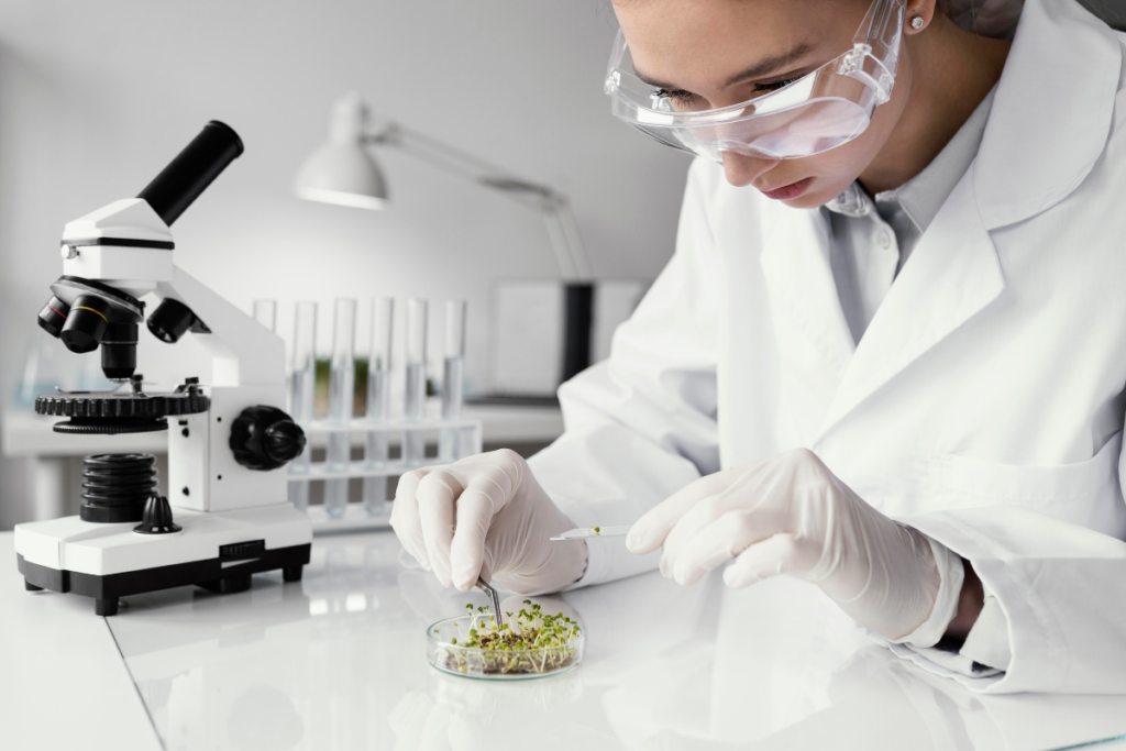 Kontrola jakości suszonego surowca botanicznego przeznaczonego do suplementów