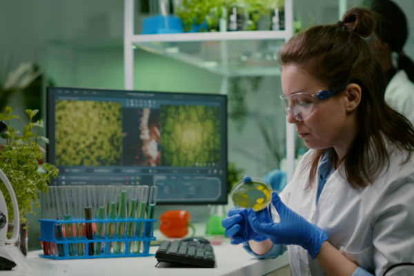 Analiza ekstraktu roślinnego metodą HPLC w laboratorium kontroli jakości