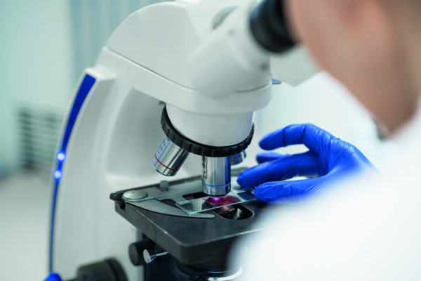 Reorientacja GMP: EMA zaostrza rygory w walce z nitrozaminami – rewolucja w Aneksie 15