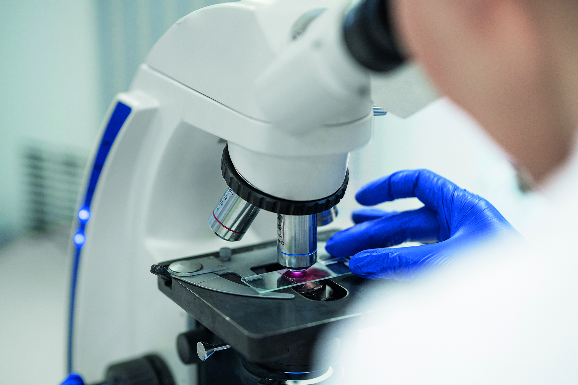 Reorientacja GMP: EMA zaostrza rygory w walce z nitrozaminami – rewolucja w Aneksie 15