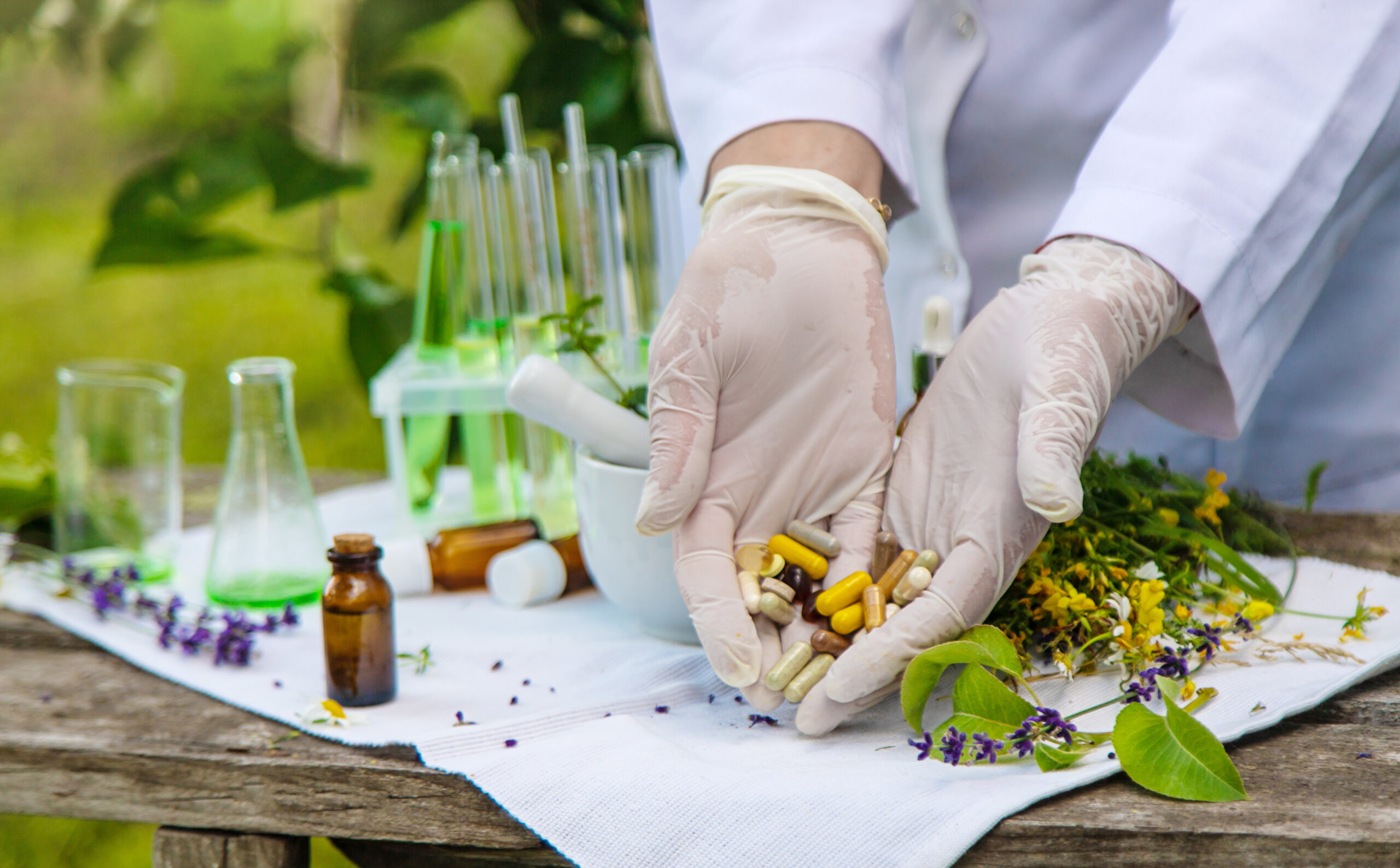 Surowce roślinne i laboratorium kontroli jakości składników botanicals